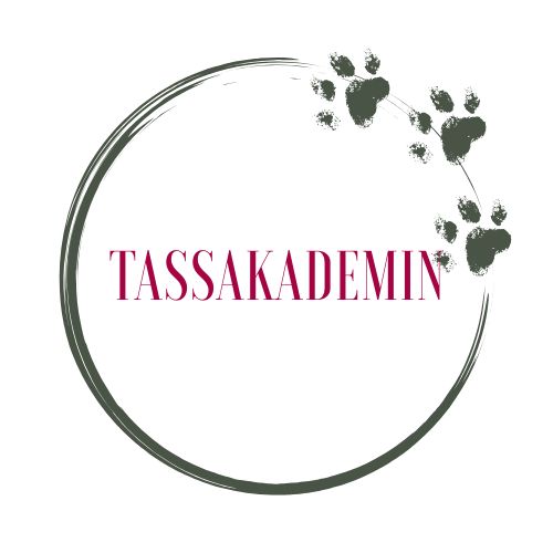 Tassakademin